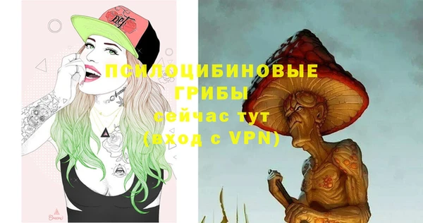 прущий лед Арсеньев